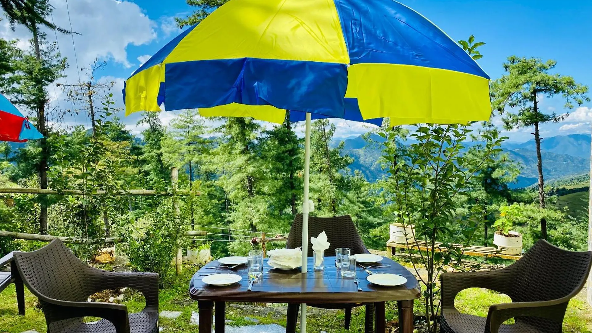 Nature Mountain Valley View Resort -- A Four Star Luxury Resort Shimla Hotel